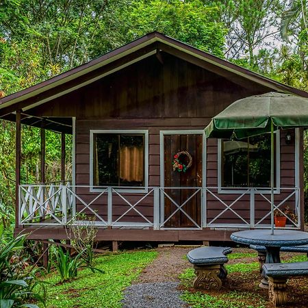 Hospedaje La Naciente Acomodação com café da manhã Turrialba Exterior foto