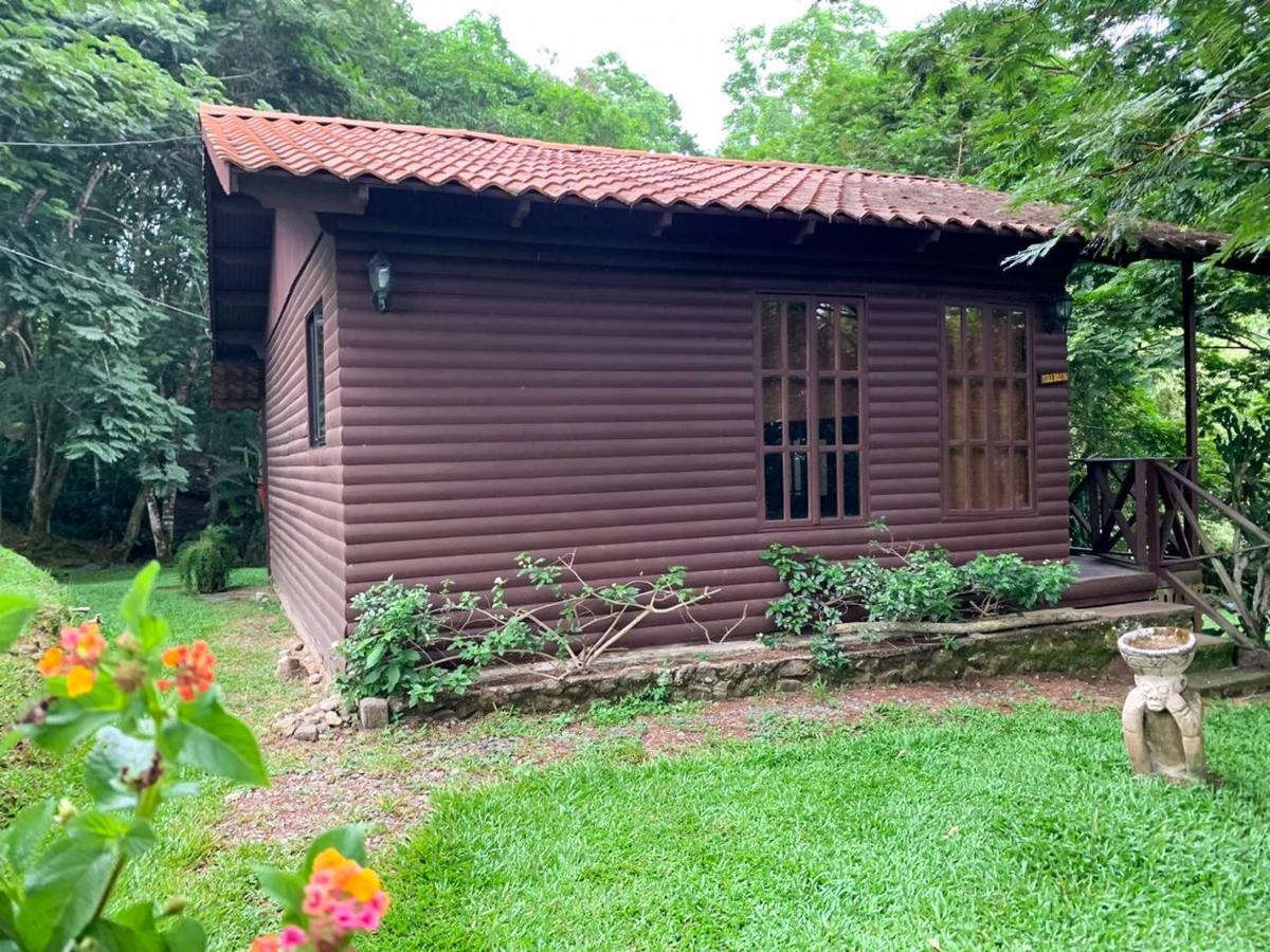 Hospedaje La Naciente Acomodação com café da manhã Turrialba Exterior foto