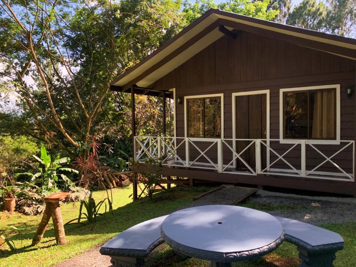 Hospedaje La Naciente Turrialba Exterior foto