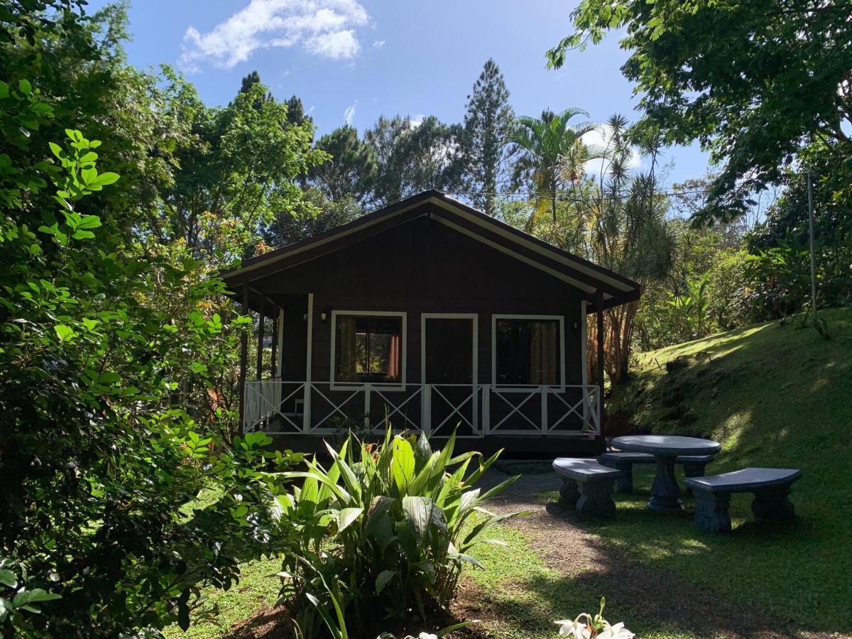 Hospedaje La Naciente Acomodação com café da manhã Turrialba Exterior foto