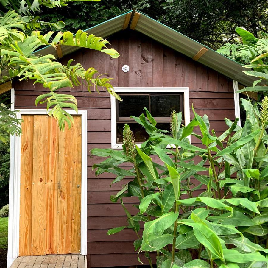 Hospedaje La Naciente Acomodação com café da manhã Turrialba Exterior foto