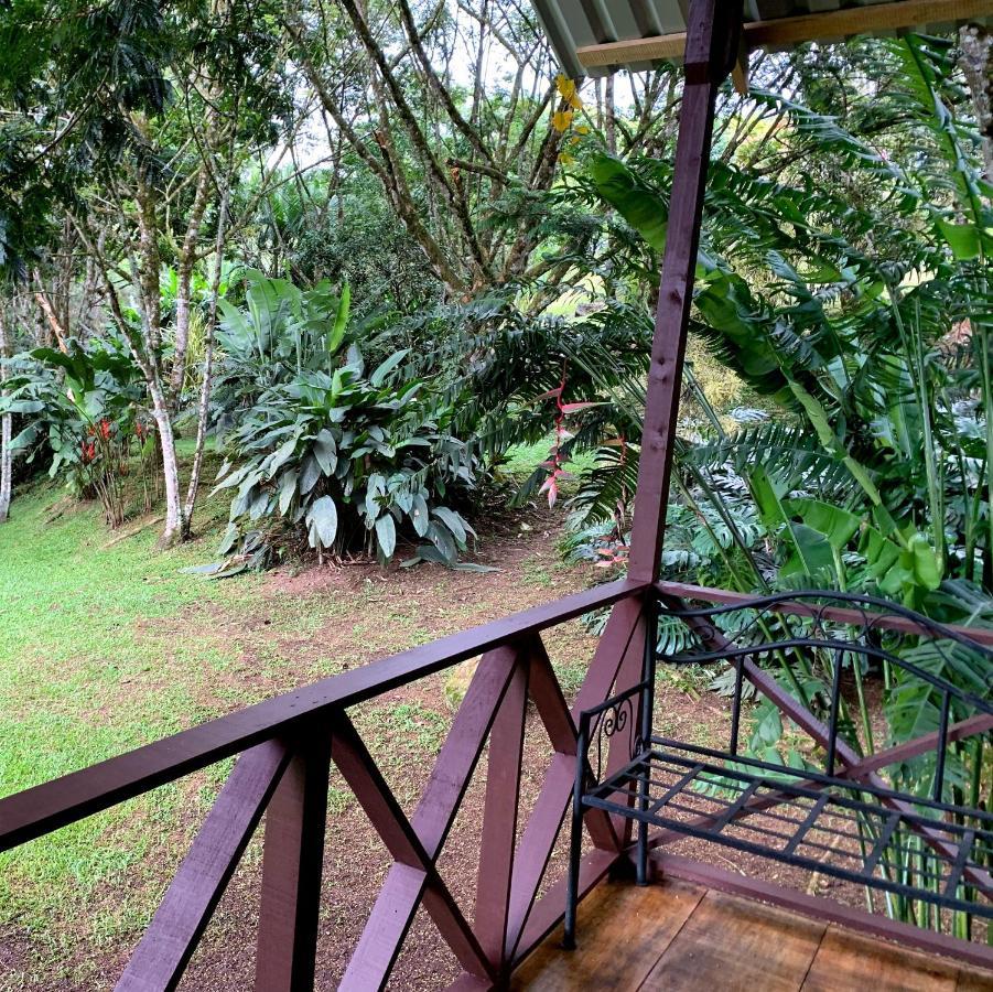 Hospedaje La Naciente Turrialba Exterior foto