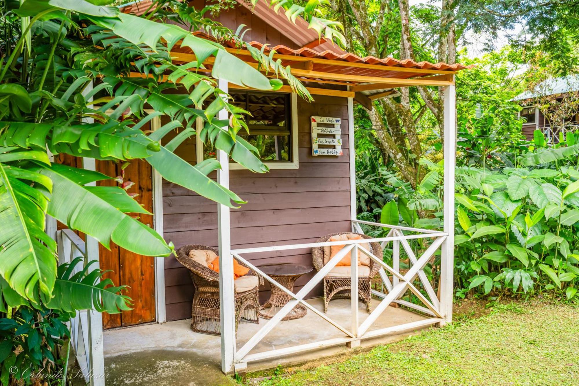 Hospedaje La Naciente Acomodação com café da manhã Turrialba Exterior foto