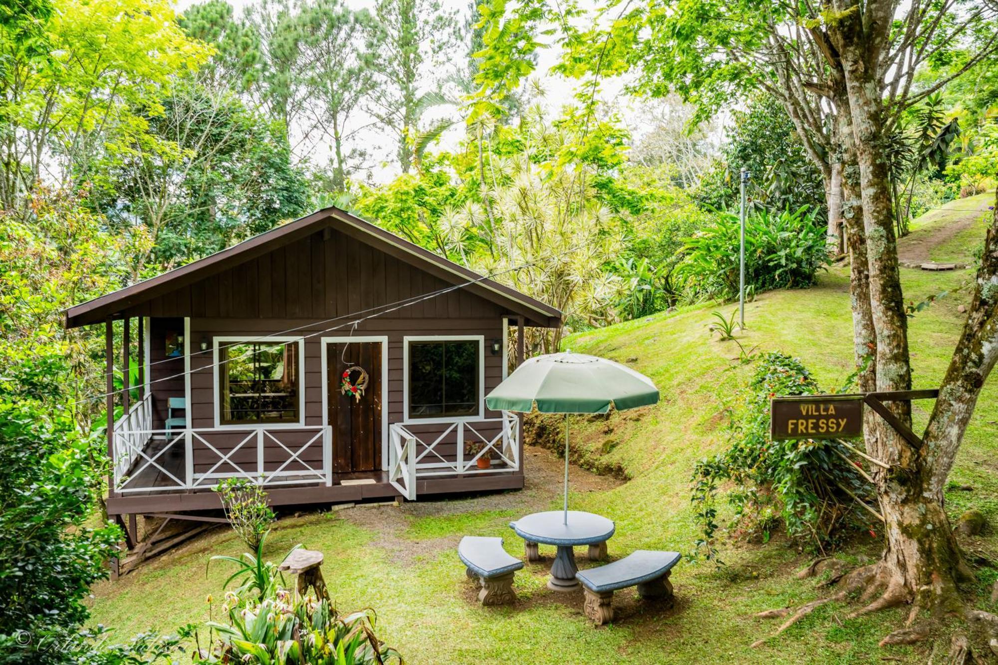 Hospedaje La Naciente Acomodação com café da manhã Turrialba Exterior foto