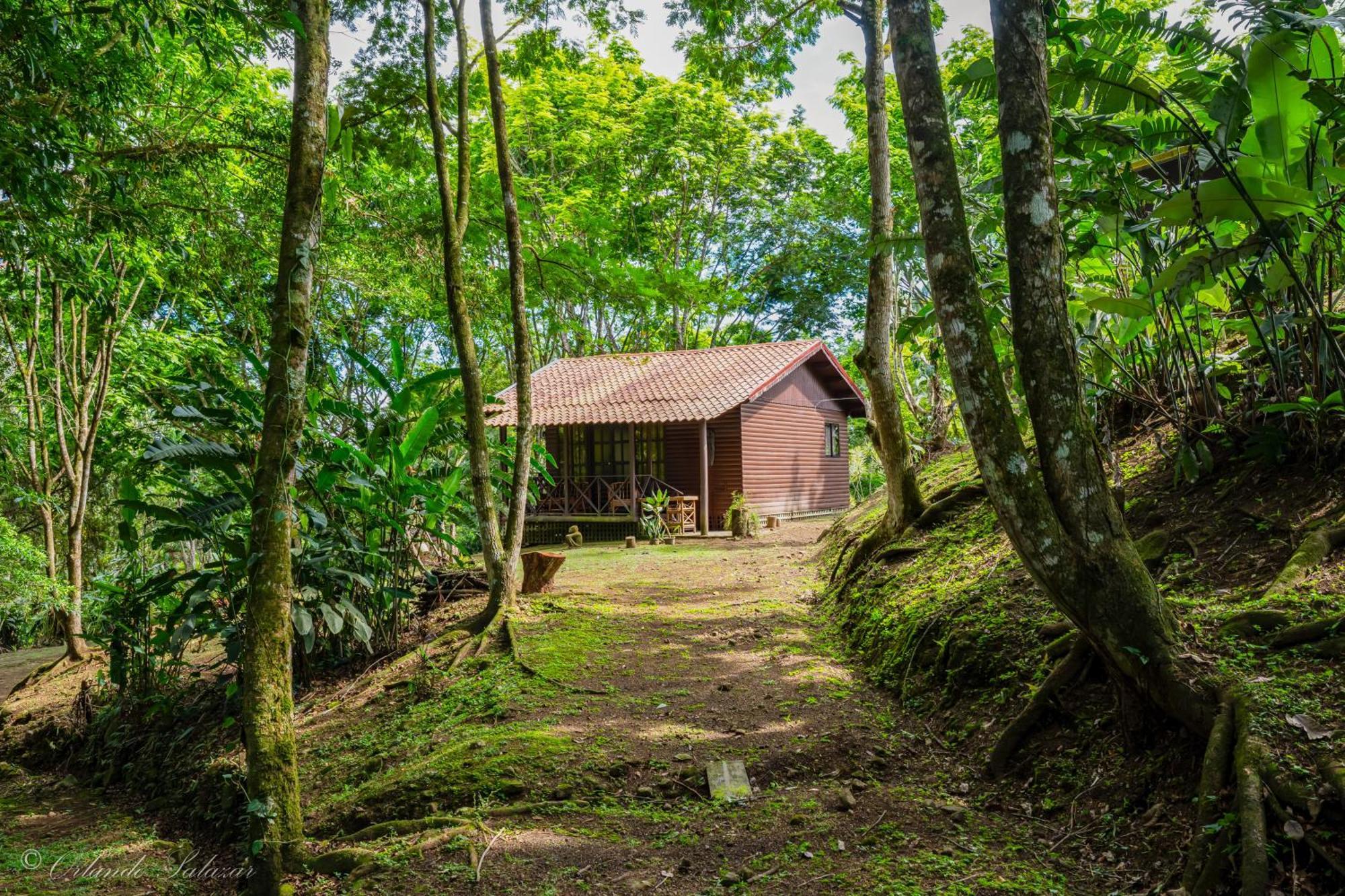 Hospedaje La Naciente Acomodação com café da manhã Turrialba Exterior foto