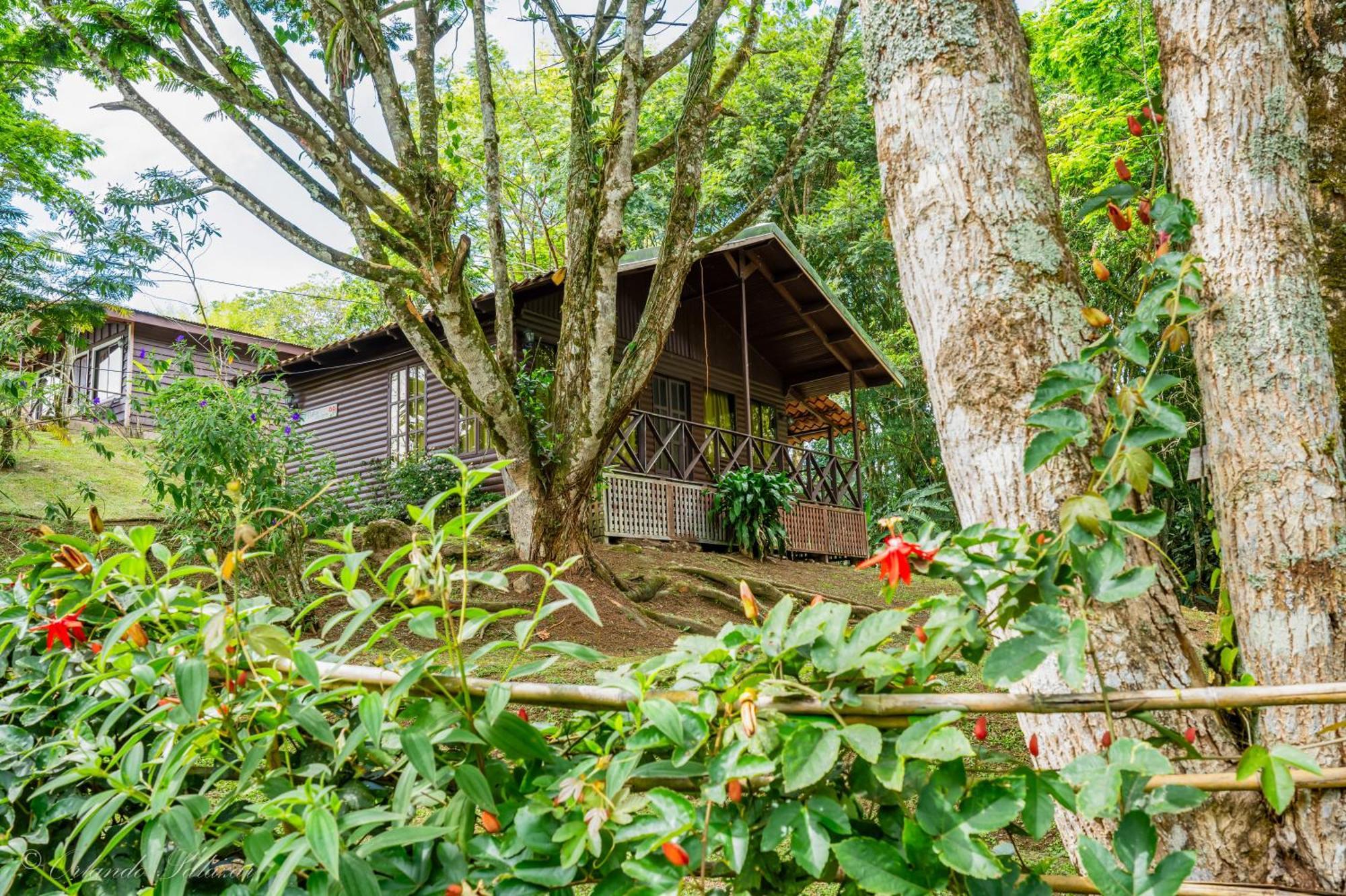 Hospedaje La Naciente Acomodação com café da manhã Turrialba Exterior foto