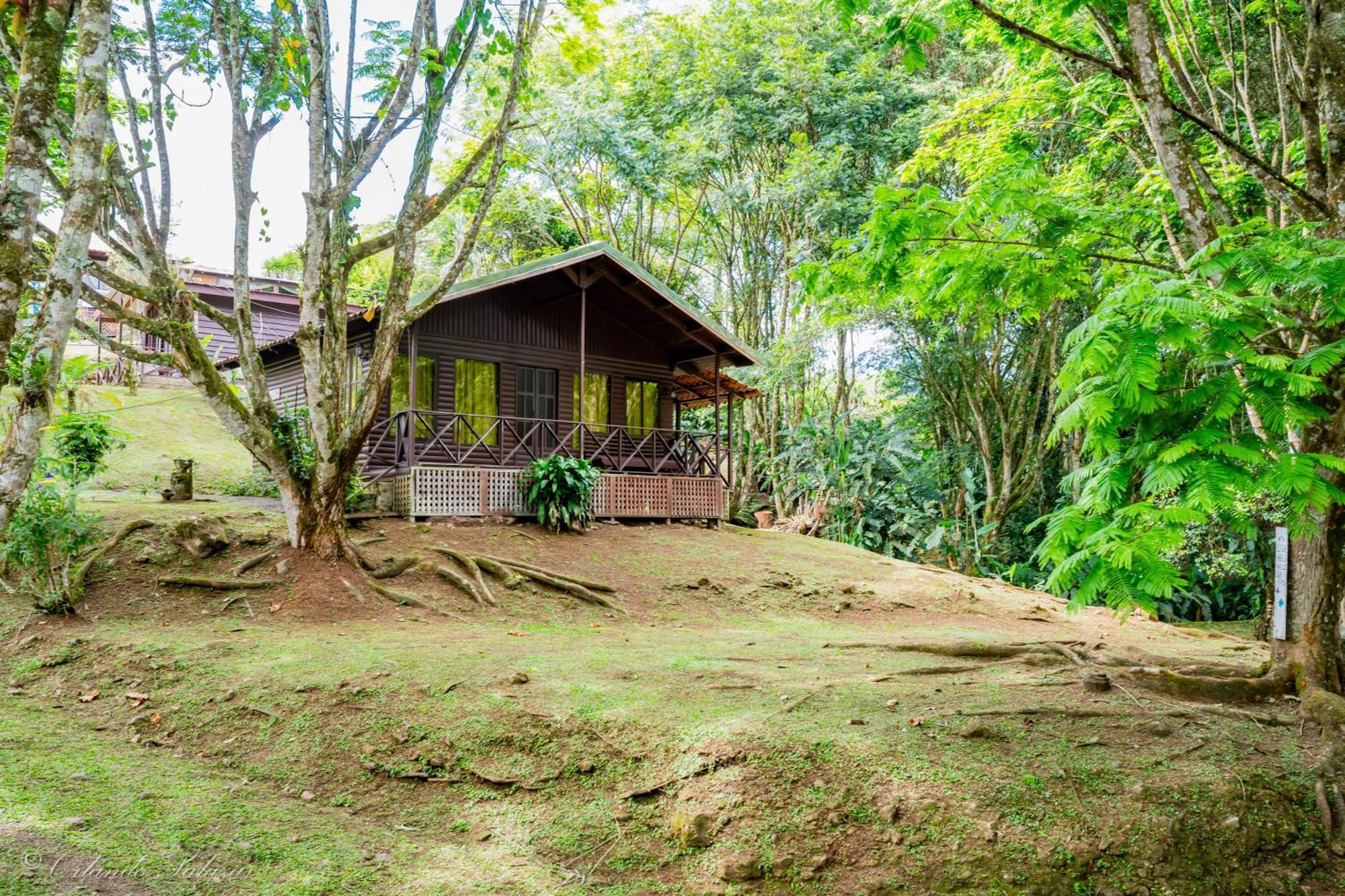 Hospedaje La Naciente Acomodação com café da manhã Turrialba Exterior foto