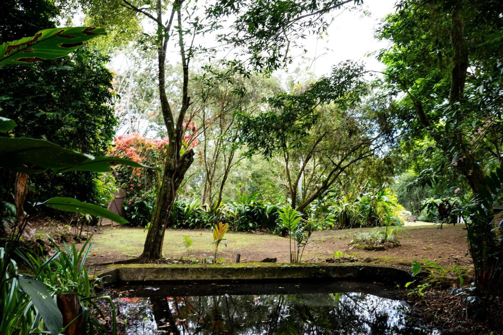 Hospedaje La Naciente Acomodação com café da manhã Turrialba Exterior foto