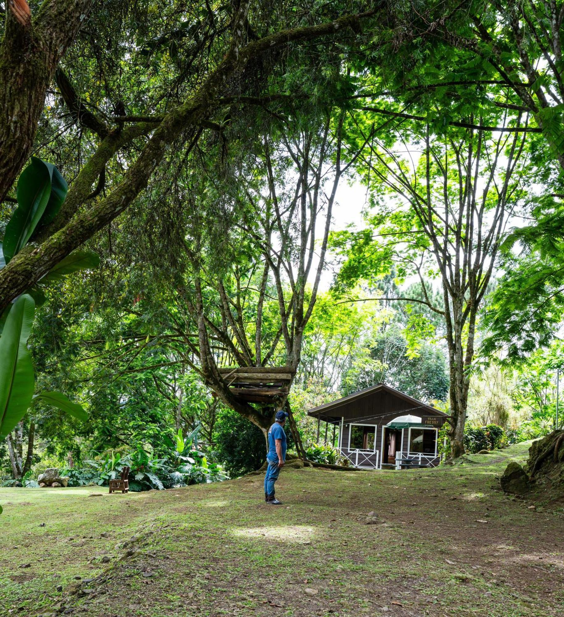 Hospedaje La Naciente Acomodação com café da manhã Turrialba Exterior foto