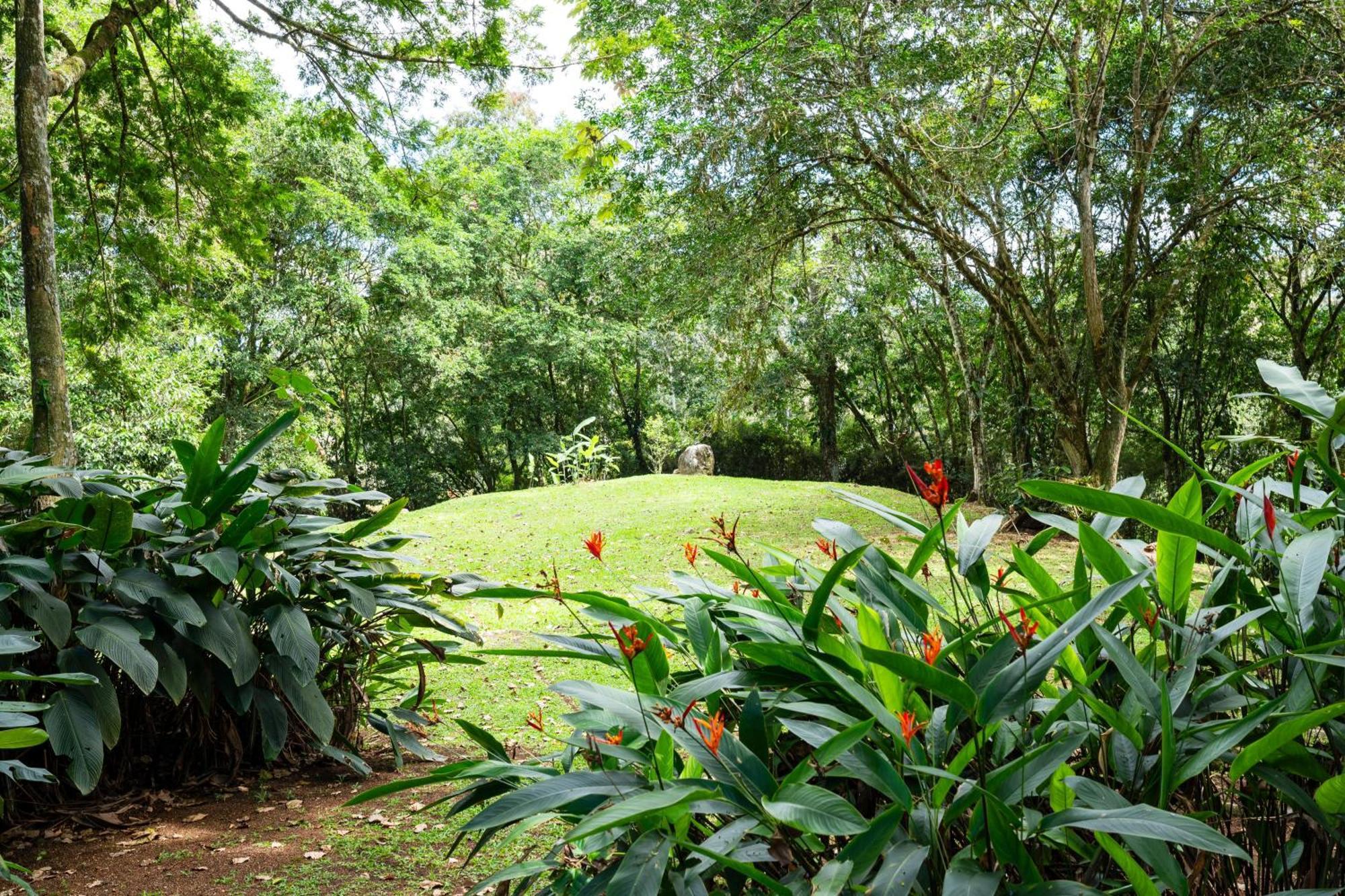 Hospedaje La Naciente Acomodação com café da manhã Turrialba Exterior foto