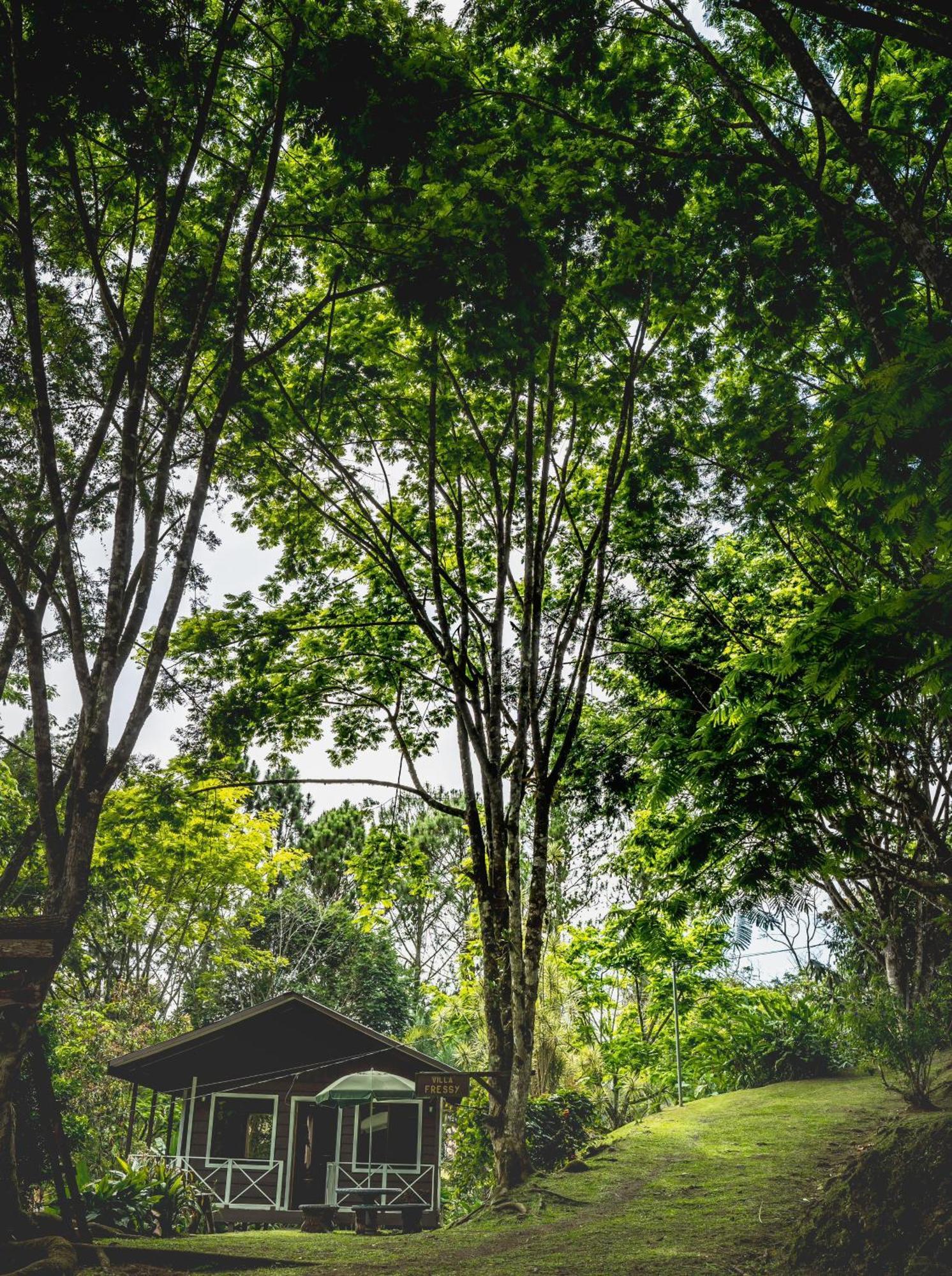 Hospedaje La Naciente Acomodação com café da manhã Turrialba Exterior foto