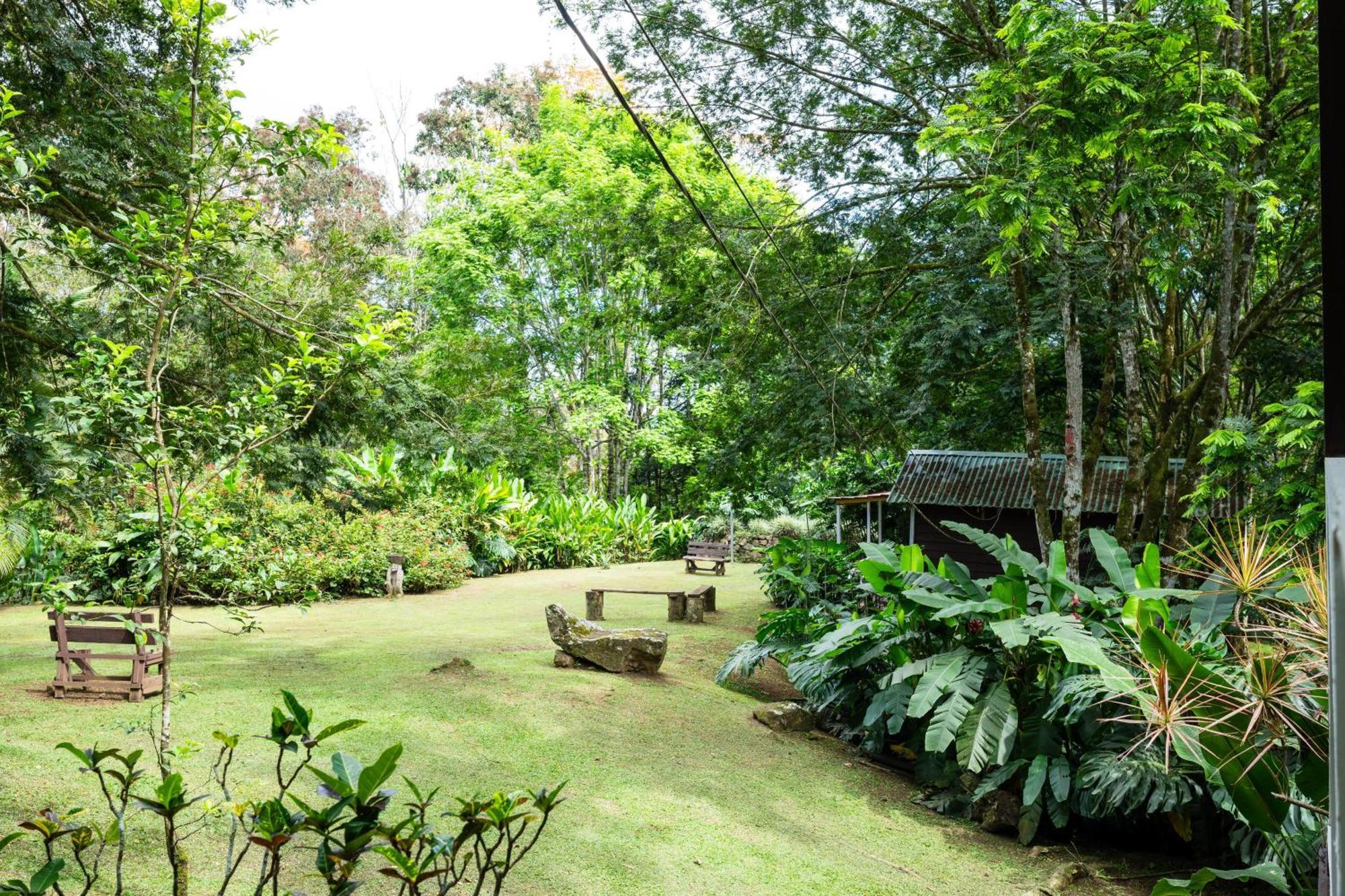 Hospedaje La Naciente Acomodação com café da manhã Turrialba Exterior foto