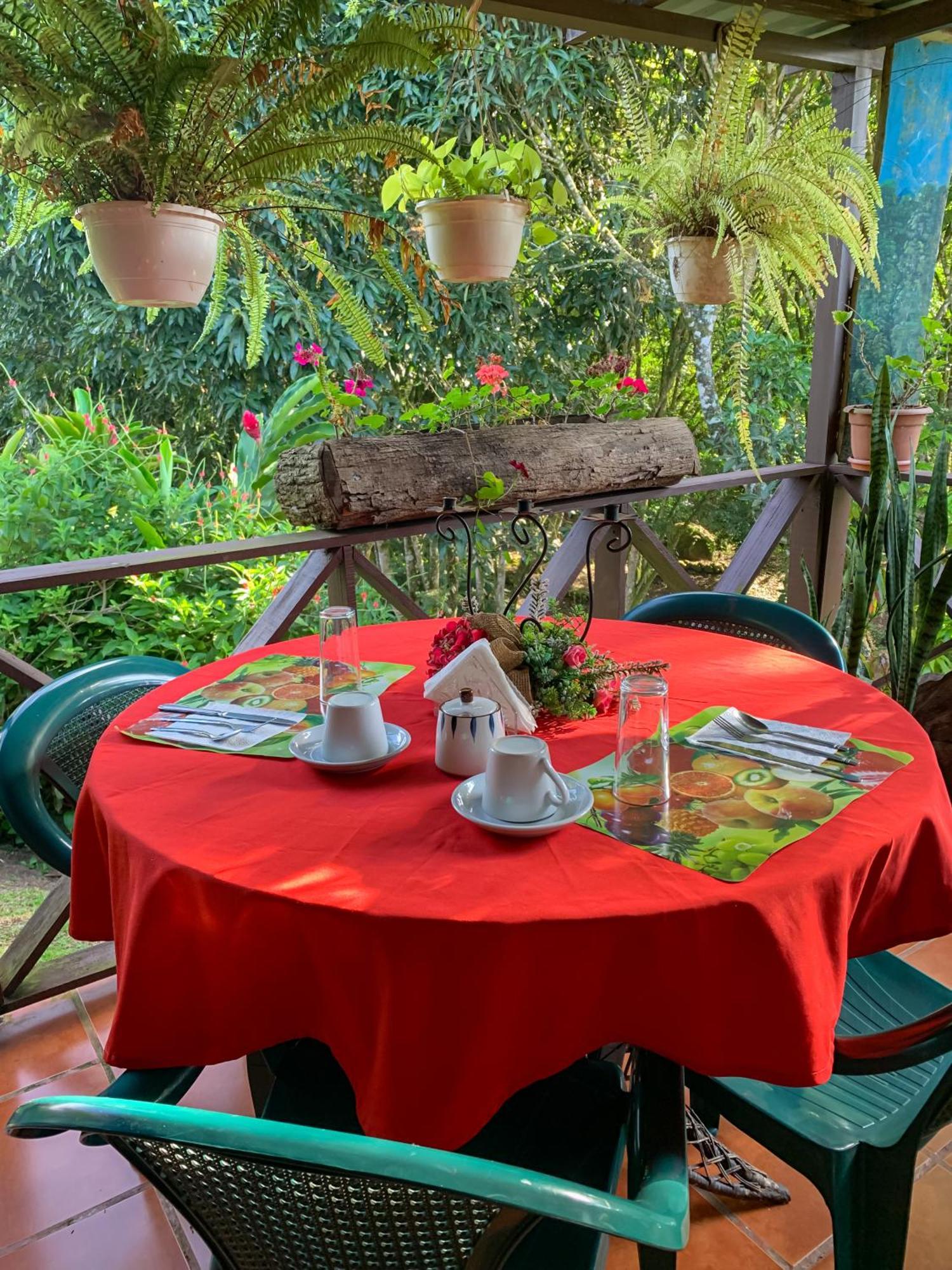 Hospedaje La Naciente Acomodação com café da manhã Turrialba Exterior foto