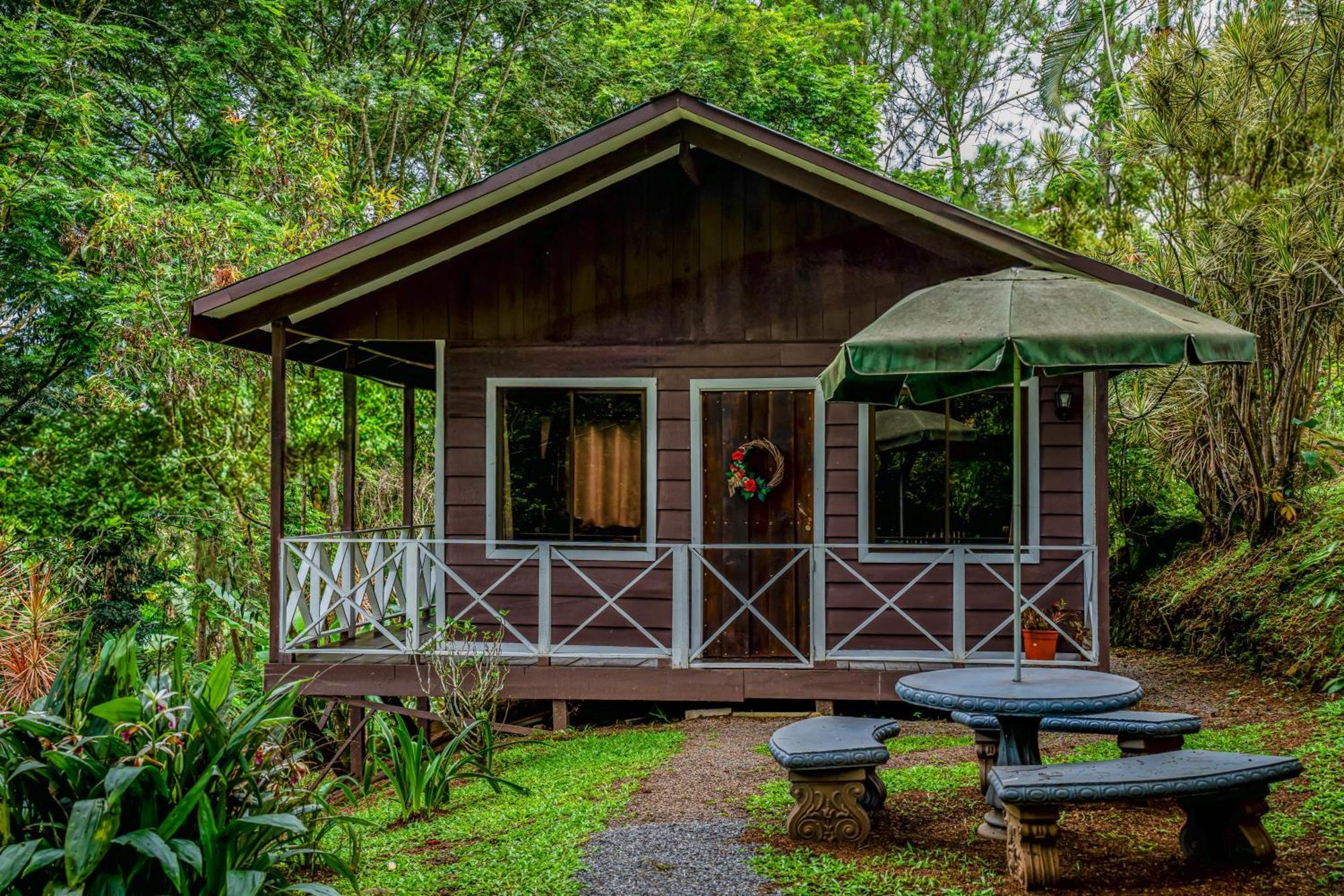 Hospedaje La Naciente Acomodação com café da manhã Turrialba Exterior foto