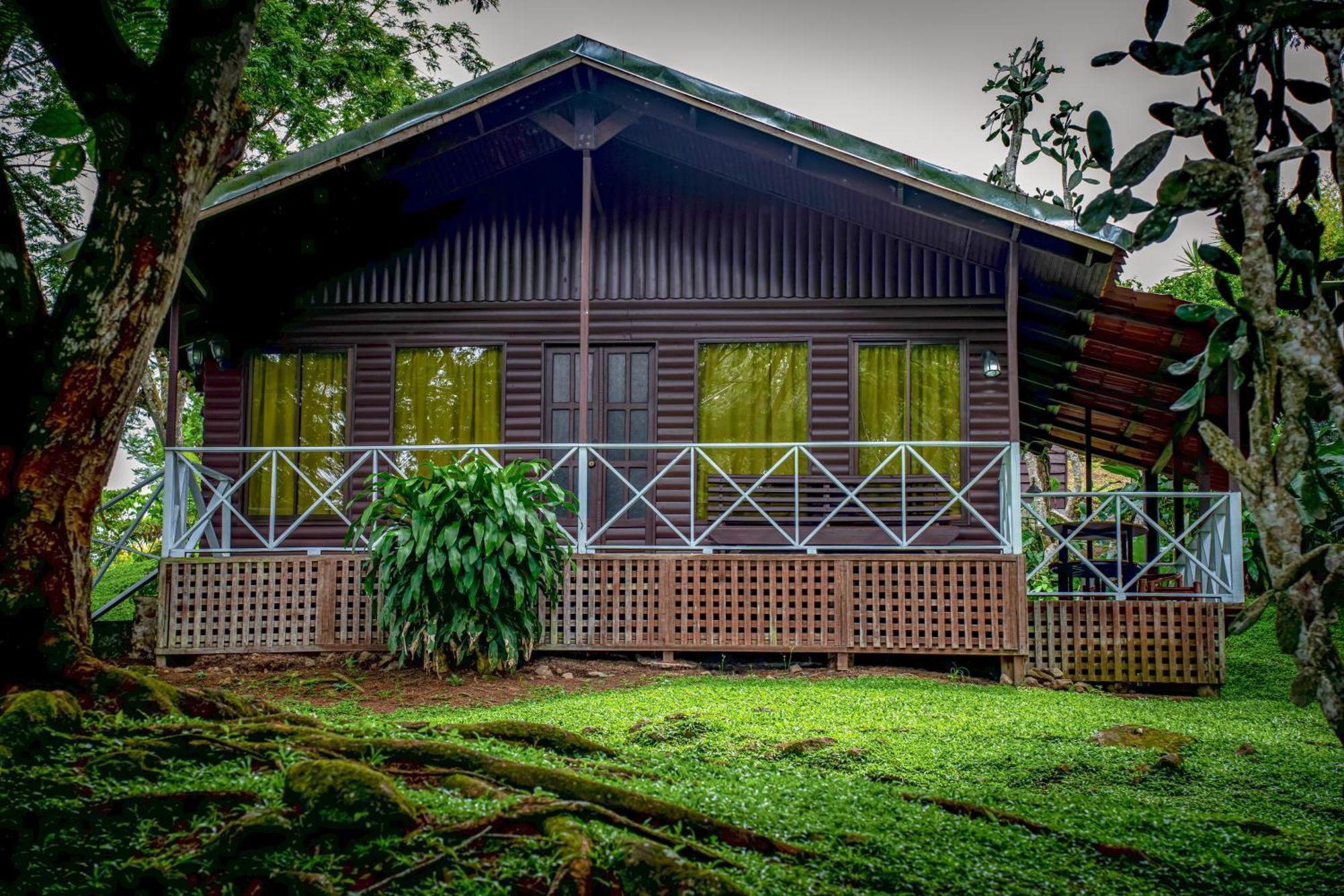 Hospedaje La Naciente Acomodação com café da manhã Turrialba Exterior foto