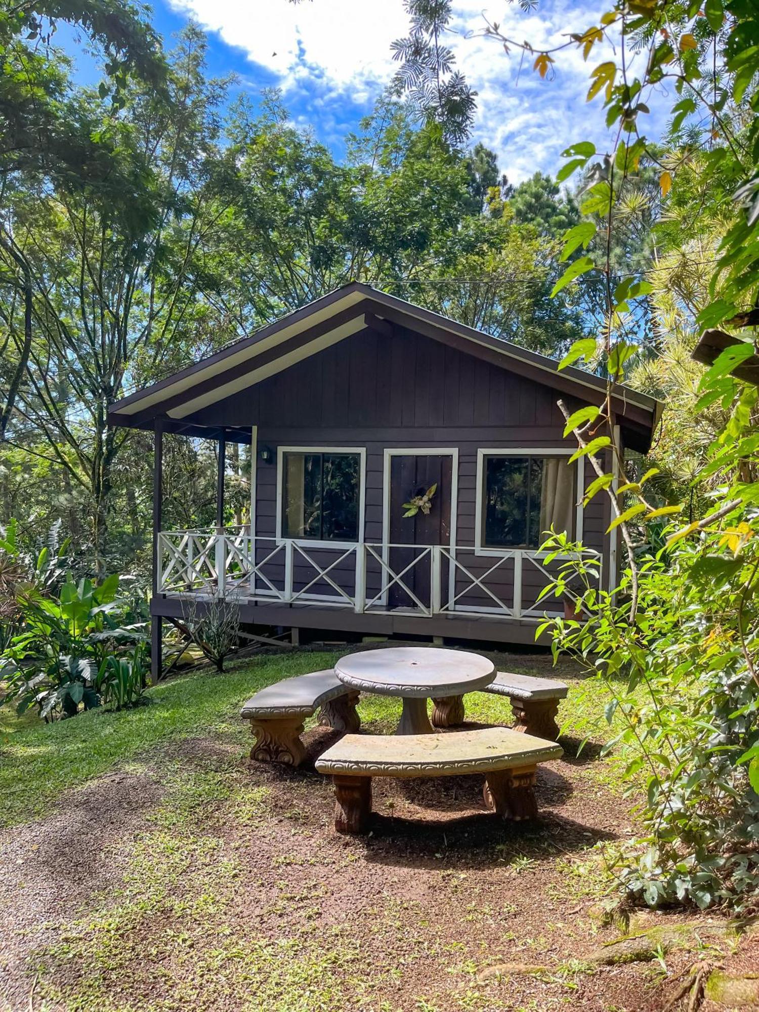 Hospedaje La Naciente Turrialba Exterior foto