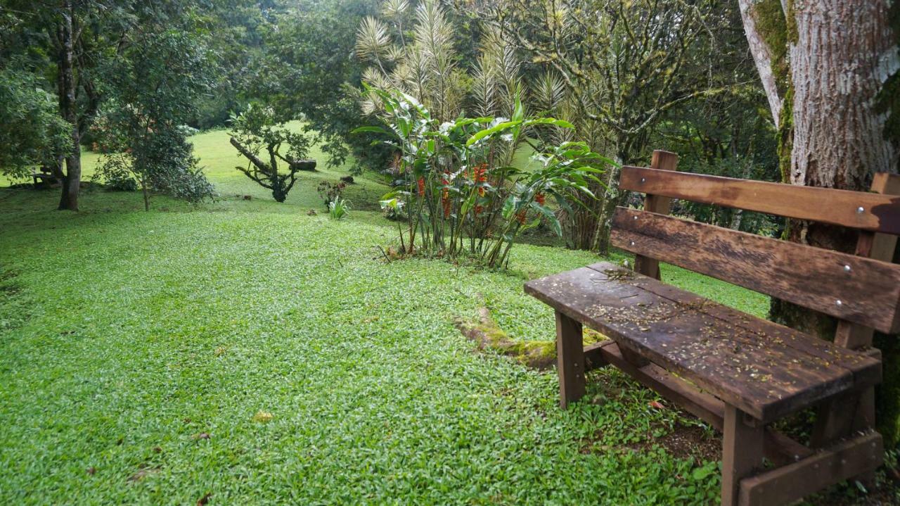 Hospedaje La Naciente Acomodação com café da manhã Turrialba Exterior foto