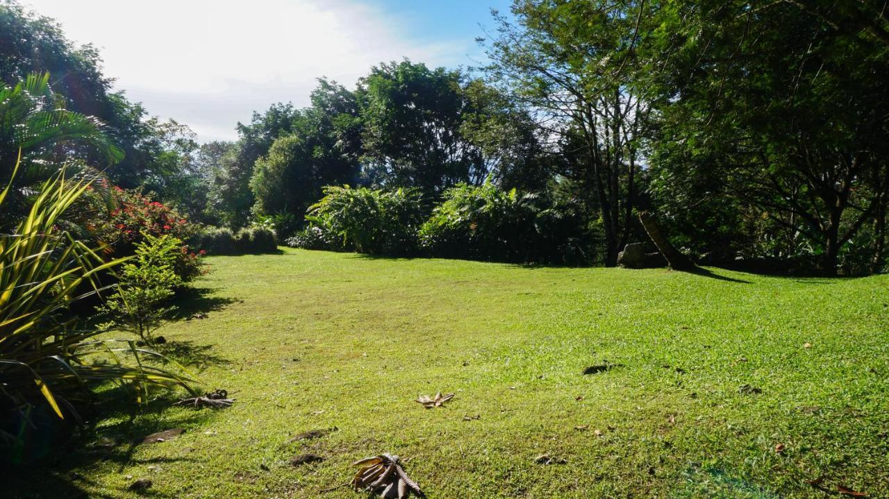 Hospedaje La Naciente Acomodação com café da manhã Turrialba Exterior foto